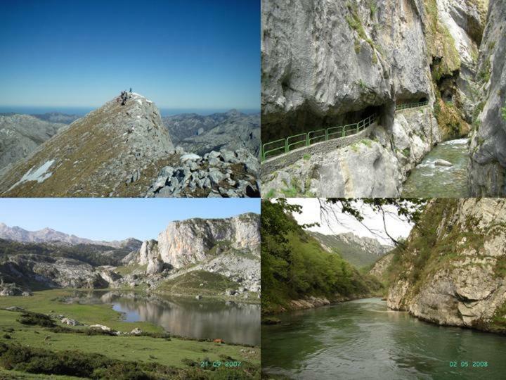 Viviendas De Uso Turistico La Arboleda I Y II Colombres Exterior photo